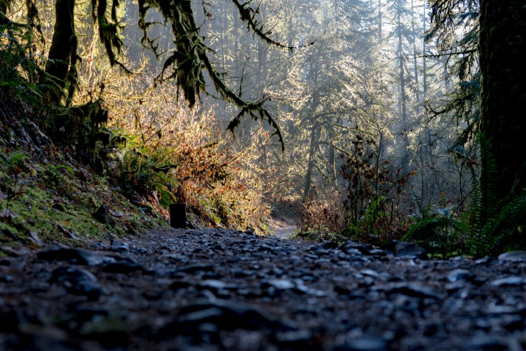 Where To Hike In Leavenworth?